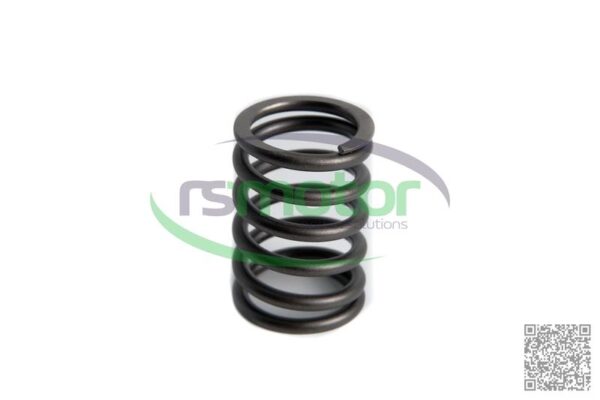 Compression Spring MWM RS-01222009 - Image 3