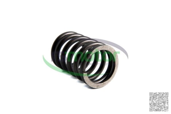 Compression Spring MWM RS-01222009 - Image 4
