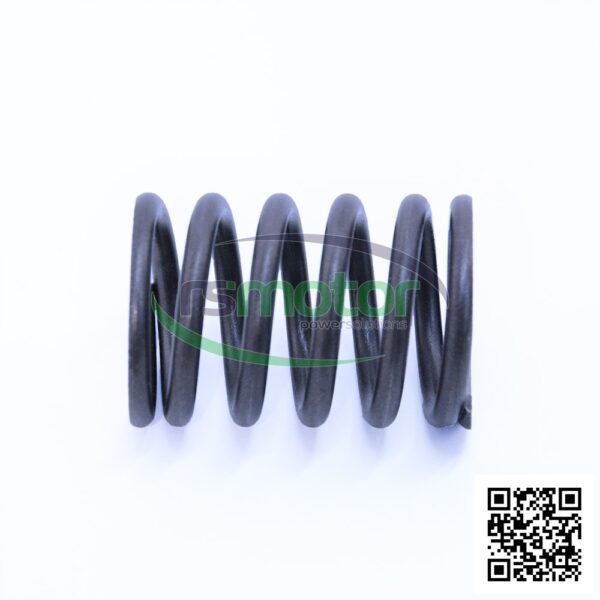 Resorte de compresión MWM RS-01222051 - Imagen 2