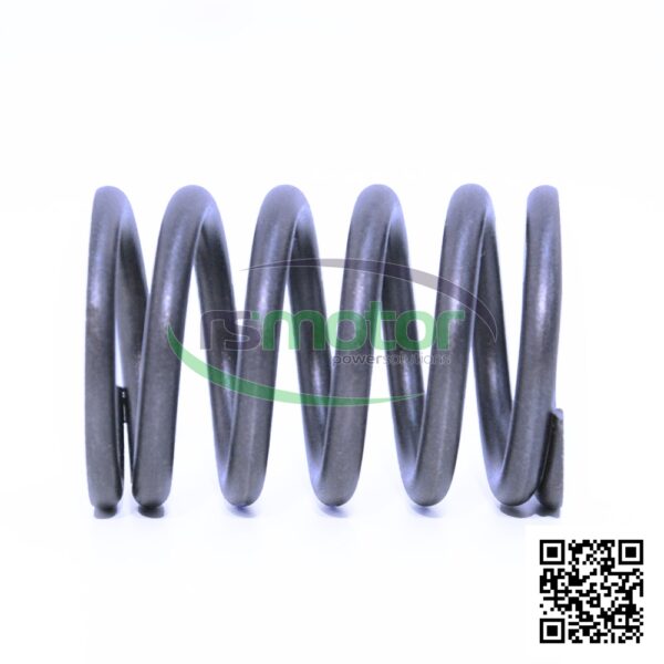 Resorte de compresión MWM RS-01222051