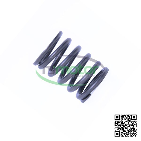 Resorte de compresión MWM RS-01222051 - Imagen 3