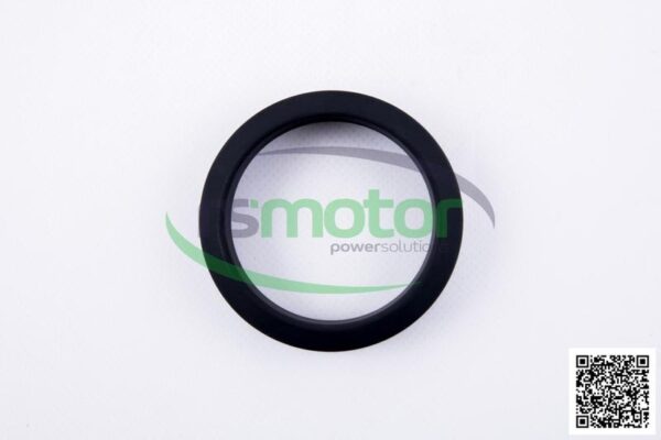 Gasket MWM RS-01321317 - Image 5