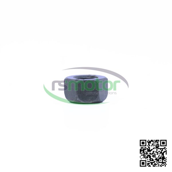 Hexagon Nut MWM RS-01321459 - Image 5