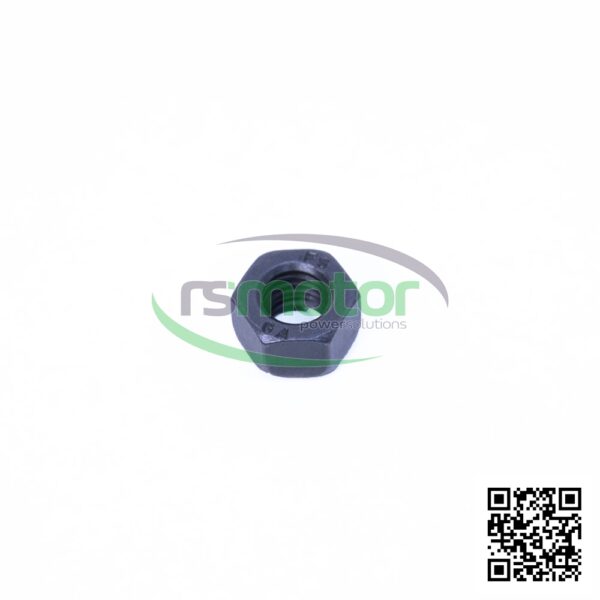 Hexagon Nut MWM RS-01321459 - Image 4