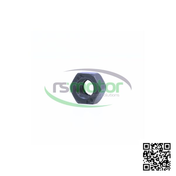 Hexagon Nut MWM RS-01321459 - Image 3