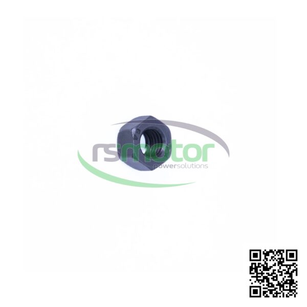 Hexagon Nut MWM RS-01321459 - Image 2