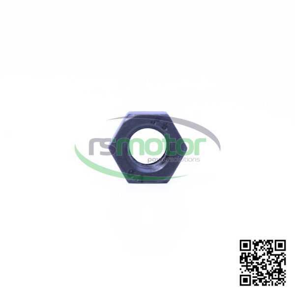 Hexagon Nut MWM RS-01321459 - Image 6