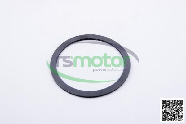 Gasket MWM RS-04032909 - Image 2