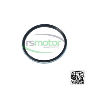 Junta MWM 04073544 sobre un fondo blanco y con el logo de "RS Motor" en el centro