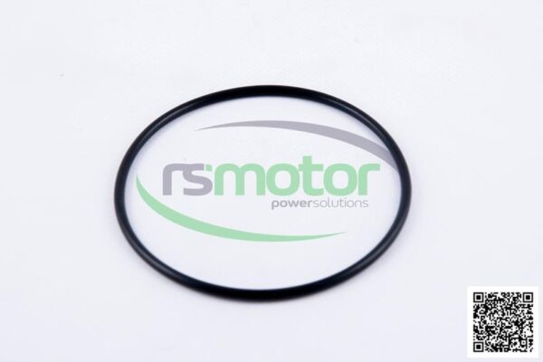 O-seal MWM RS-06214769 - Image 2