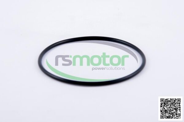 O-seal MWM RS-06214769 - Image 3