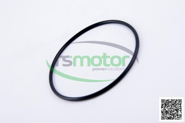 O-seal MWM RS-06214769 - Image 6
