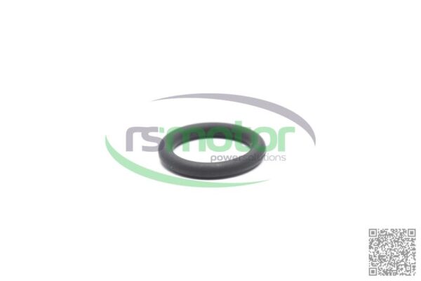 O-ring Jenbacher RS-100012 - Image 2