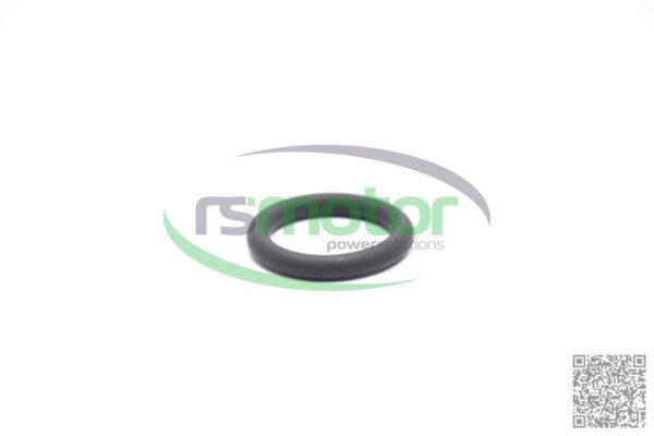 O-ring Jenbacher RS-100012 - Image 3