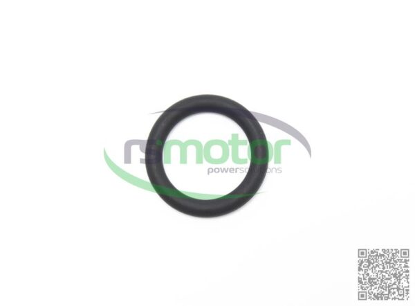 O-ring Jenbacher RS-100012 - Image 5