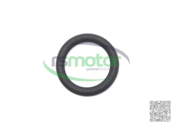 O-ring Jenbacher RS-100012 - Image 6
