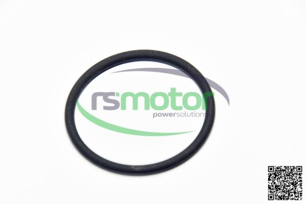 O-ring Jenbacher RS-100013 - Image 2