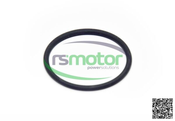 O-ring Jenbacher RS-100013 - Image 3