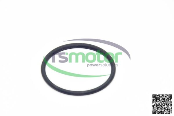 O-ring Jenbacher RS-100013 - Image 4
