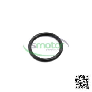 O-ring Jenbacher RS-100014