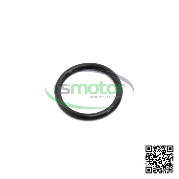 O-ring Jenbacher RS-100014