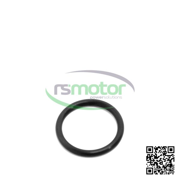 O-ring Jenbacher RS-100014 - Image 6