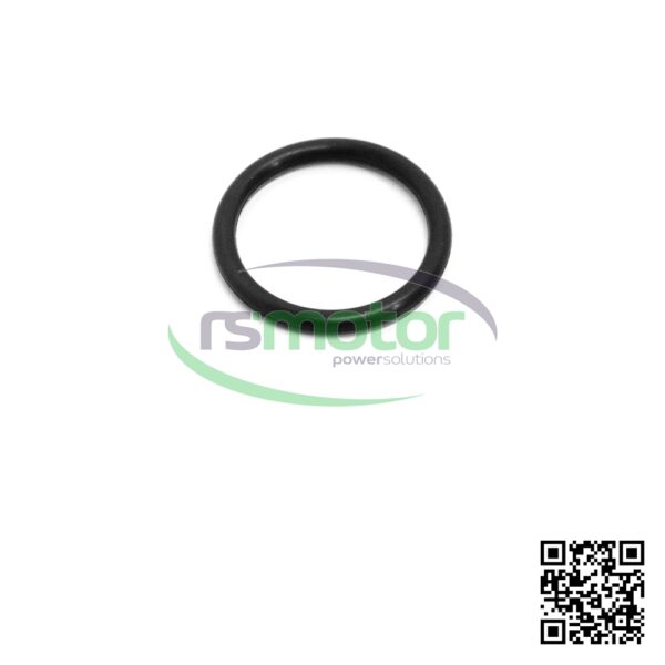 O-ring Jenbacher RS-100014 - Image 5