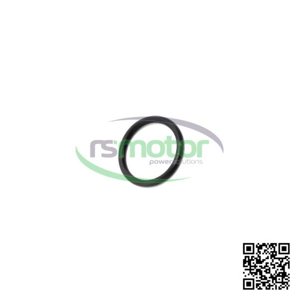 O-ring Jenbacher RS-100014 - Image 4