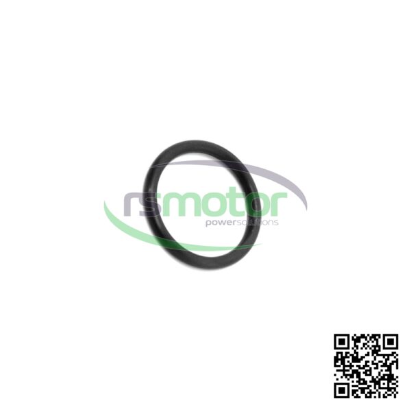 O-ring Jenbacher RS-100014 - Image 3