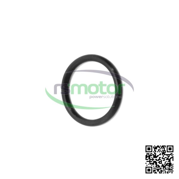 O-ring Jenbacher RS-100014 - Image 2