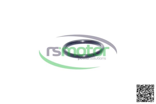 O-ring Jenbacher RS-100014 - Image 4