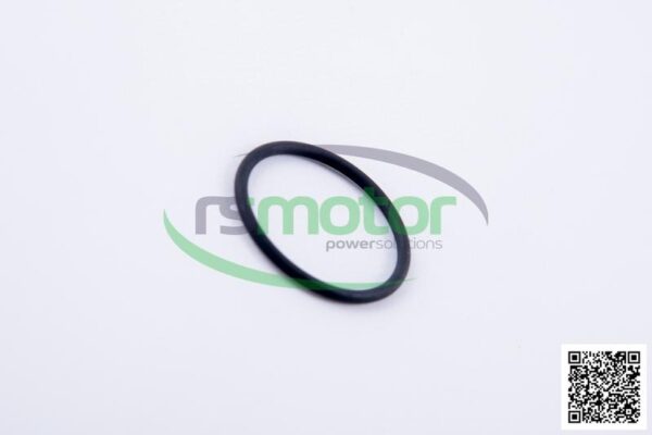 Junta tórica Jenbacher RS-100017 - Imagen 6
