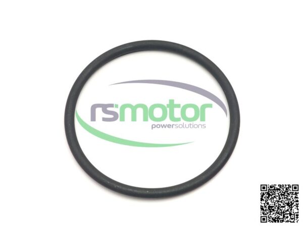 O-ring Jenbacher RS-100019 - Image 3