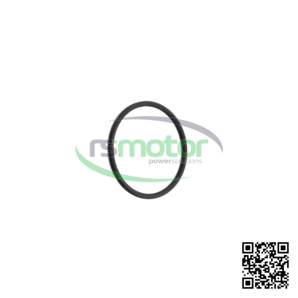 O-ring Jenbacher RS-100019 - Image 4