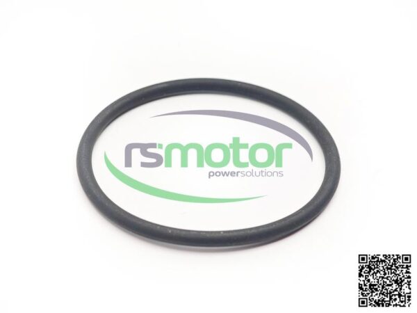 O-ring Jenbacher RS-100019 - Image 4