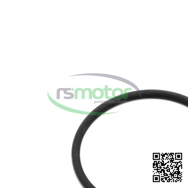O-ring Jenbacher RS-100019 - Image 5