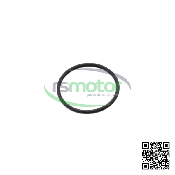O-ring Jenbacher RS-100019 - Image 6