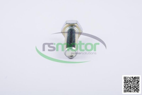 Hexagonal Head Screw Jenbacher RS-100501 - Image 3
