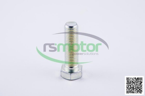 Hexagonal Head Screw Jenbacher RS-100501 - Image 4