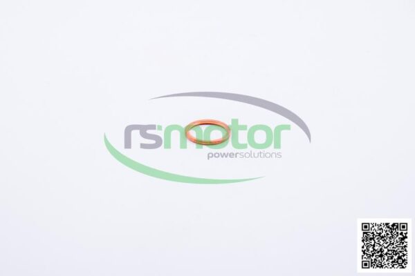 Sealing Ring Jenbacher RS-100813 - Image 3