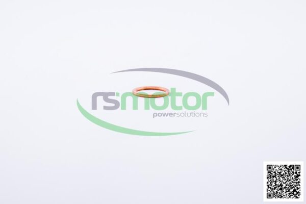 Sealing Ring Jenbacher RS-100813 - Image 4