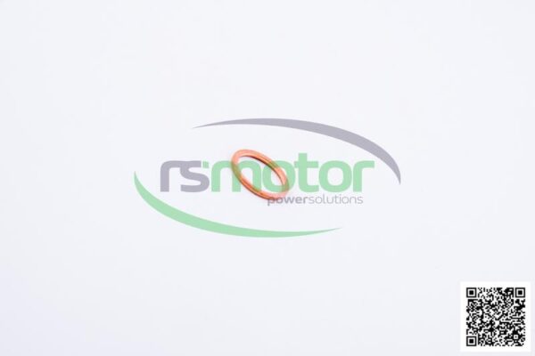 Sealing Ring Jenbacher RS-100813 - Image 5