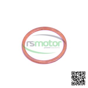 Anillo de Sellado Jenbacher RS-100822
