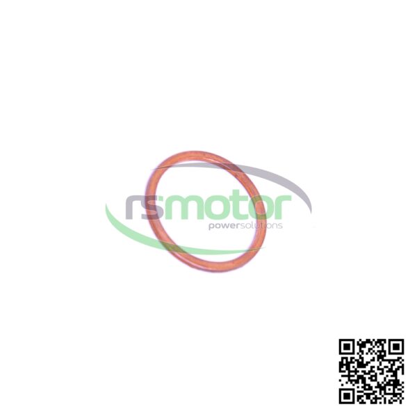 Sealing Ring Jenbacher RS-100822 - Image 6