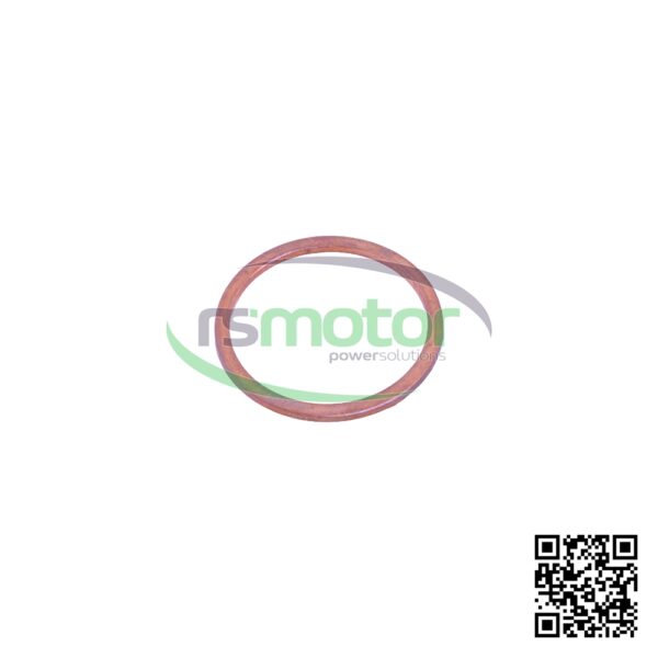 Sealing Ring Jenbacher RS-100822 - Image 5