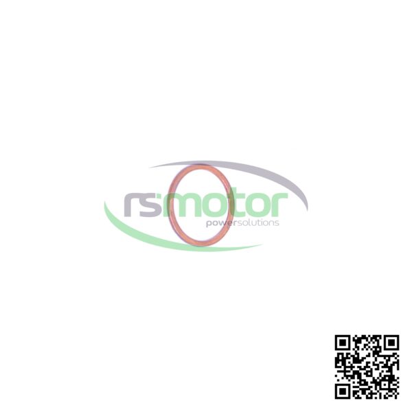 Sealing Ring Jenbacher RS-100822 - Image 4