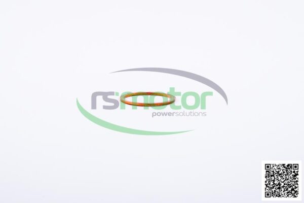 Sealing Ring Jenbacher RS-100822 - Image 3