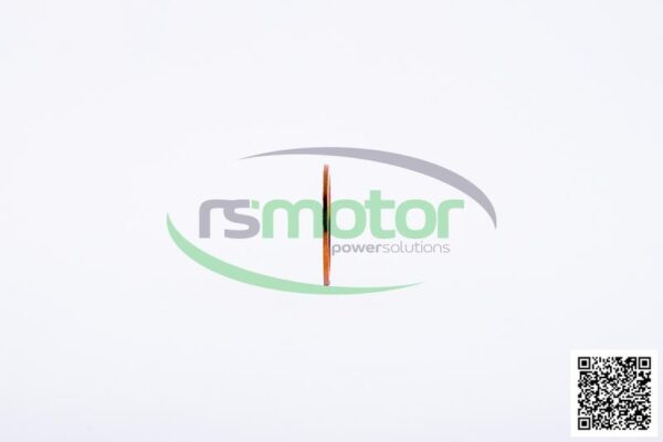 Sealing Ring Jenbacher RS-100822 - Image 5