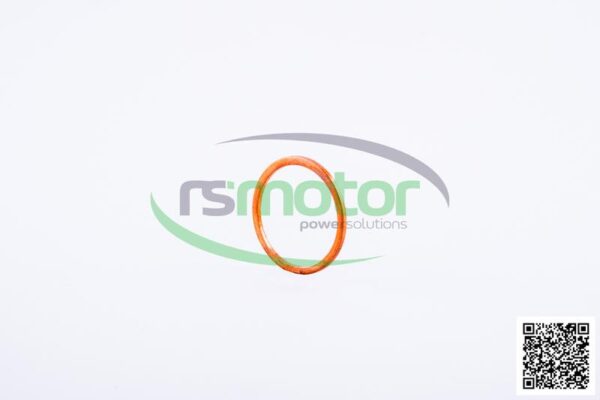 Sealing Ring Jenbacher RS-100822 - Image 6