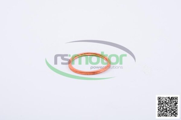 Sealing Ring Jenbacher RS-100829 - Image 2